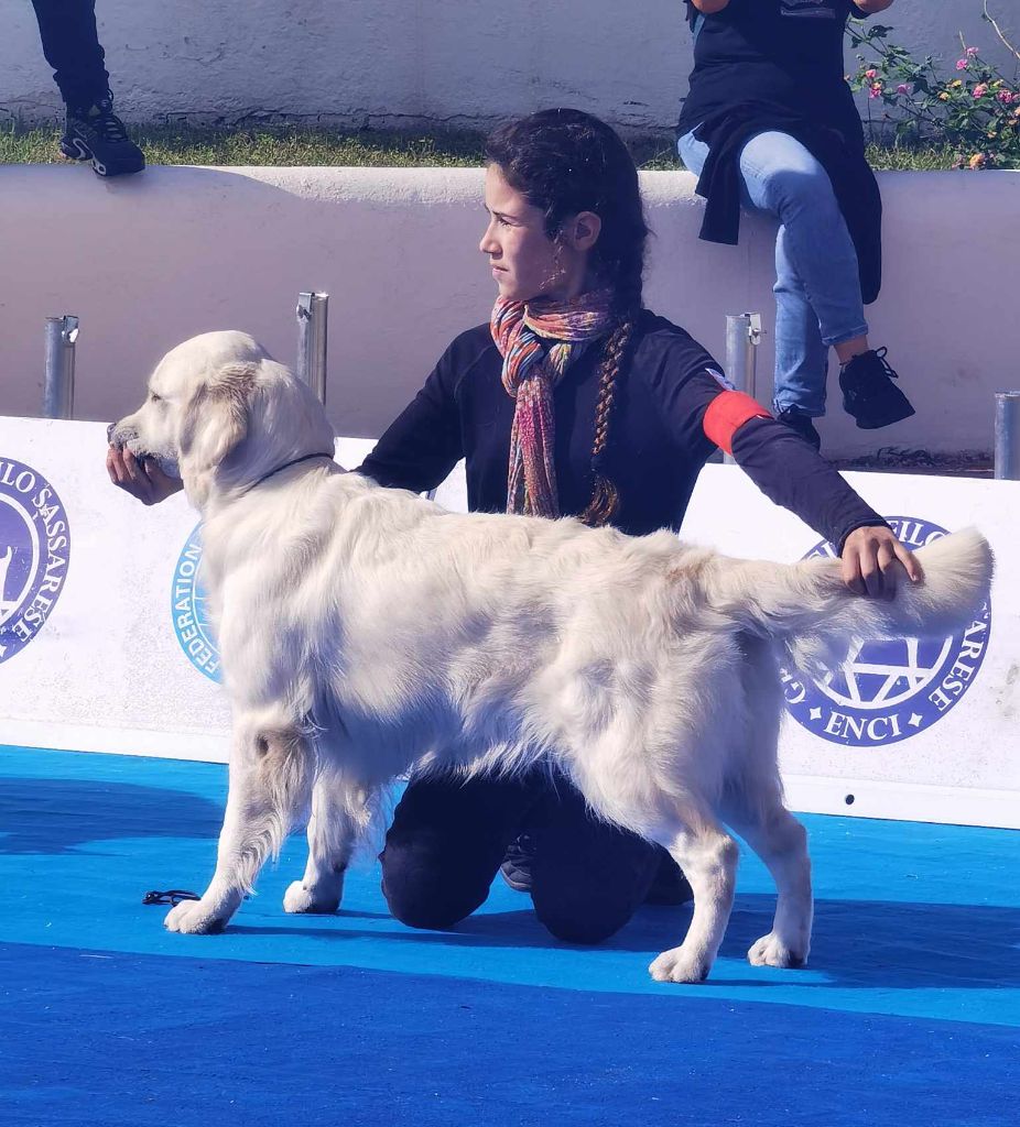 de la Vallée du Dragon Blanc - Exposition Sassari 2024