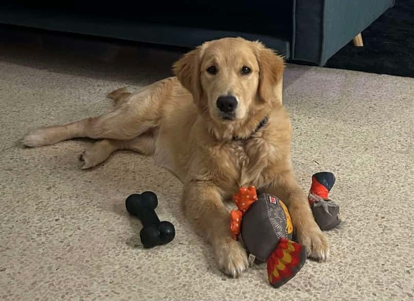 Vecna de la Vallée du Dragon Blanc