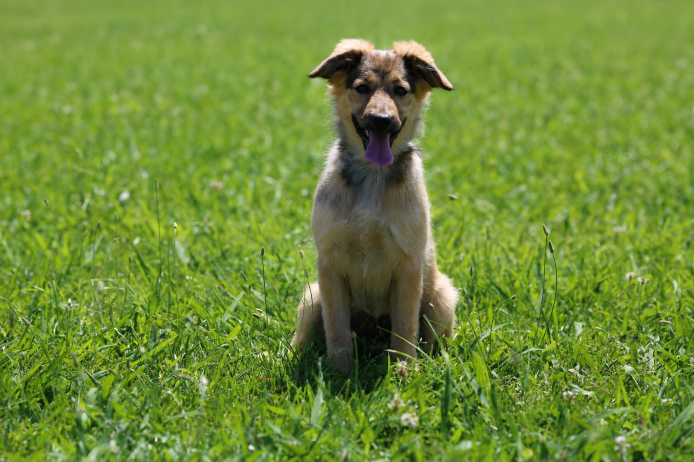 Une nouvelle petite recrue !